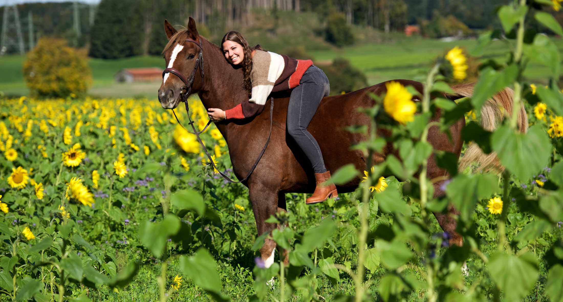 Pferdetherapie bei Esstörungen in Starnberg bei München reittherapie behinderte